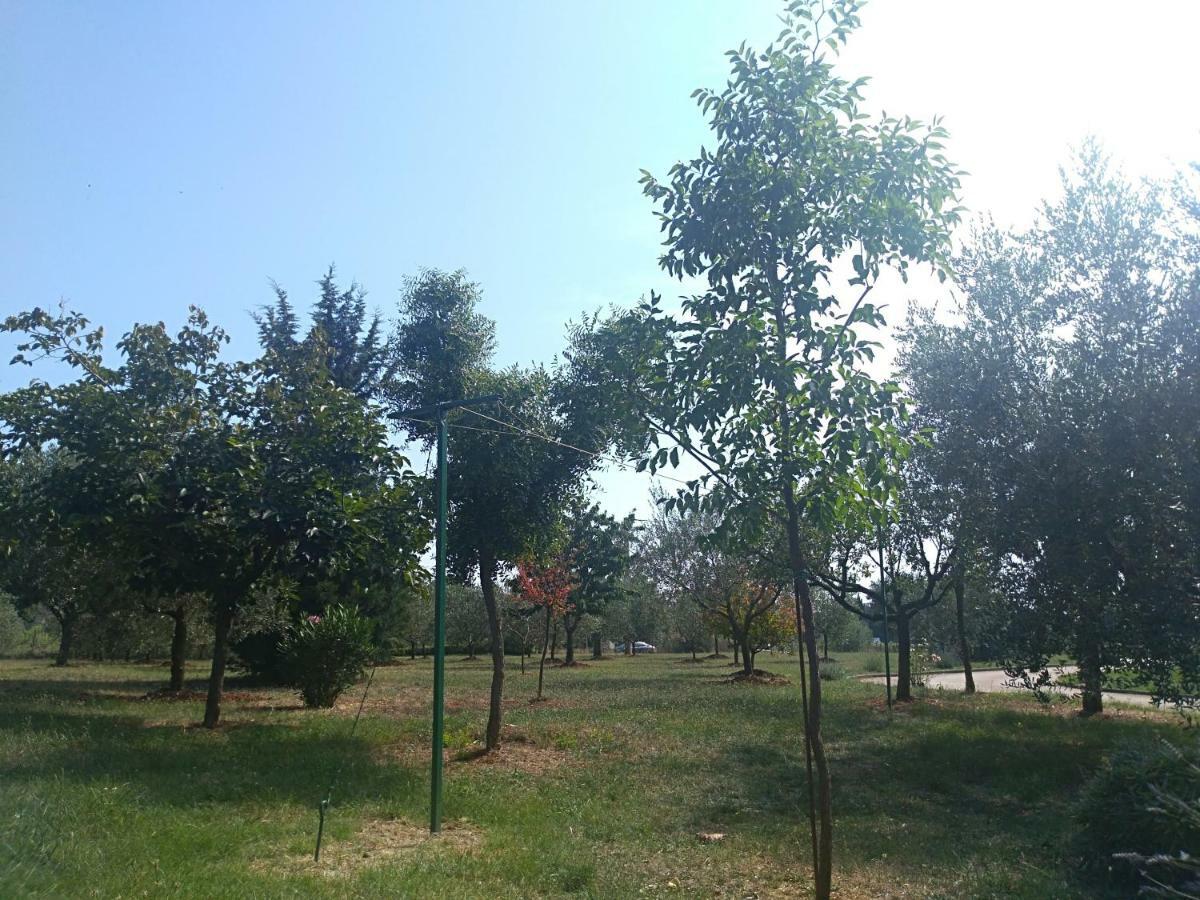 Apartment Ivana Novigrad Istria Kültér fotó